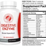 Digestive Enzyme