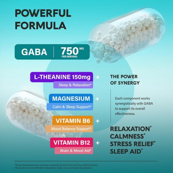 GABA L-Theanine 900 mg - Image 2